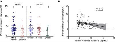 Persistent Endothelial Dysfunction in Coronavirus Disease-2019 Survivors Late After Recovery